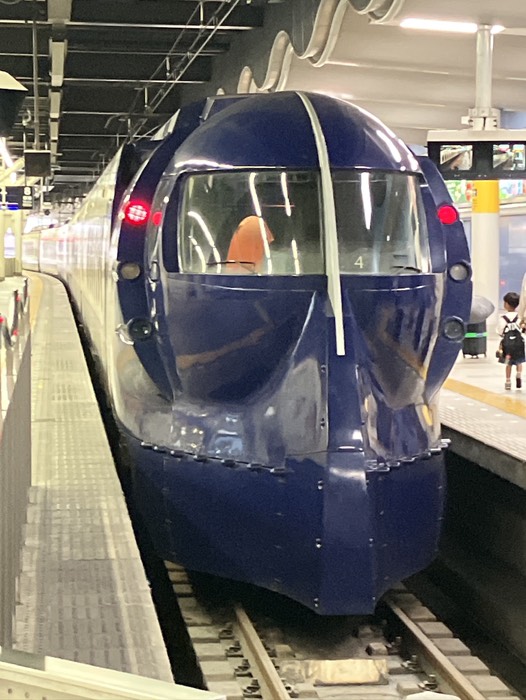 ラピートいたので撮っちゃいました