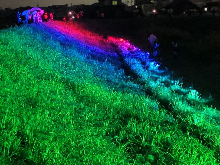 ハナノヒカリプロジェクト