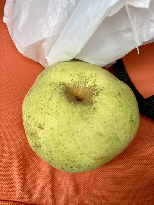 ラスト1個のかおり梨 ¥300