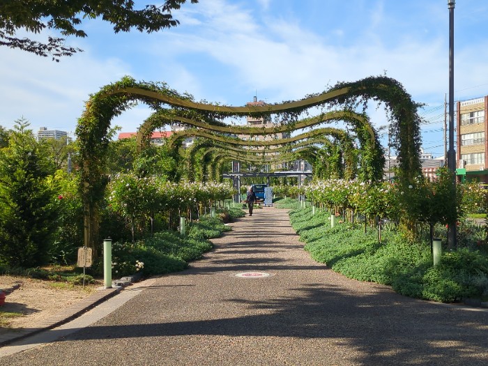 福山市ばら公園