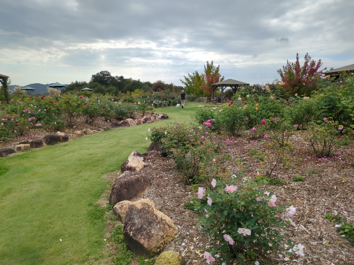世羅高原花の森