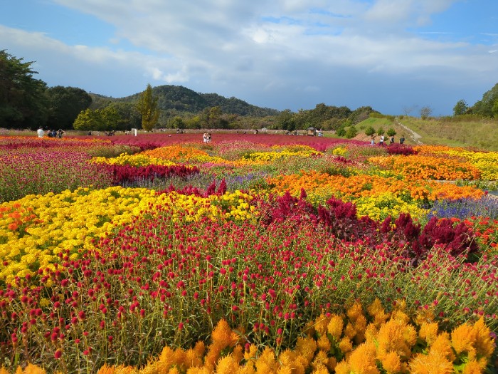秋のパッチワーク