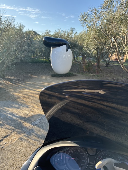 オリーブのリーゼント