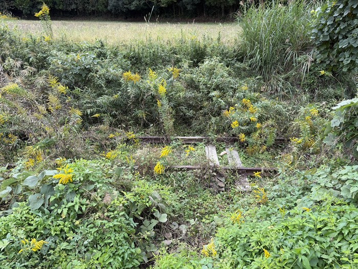 なんとか見えました