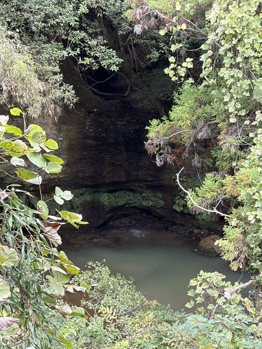 滝これかな？？