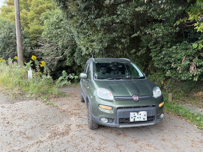 たぶん枝で車傷だらけになりました