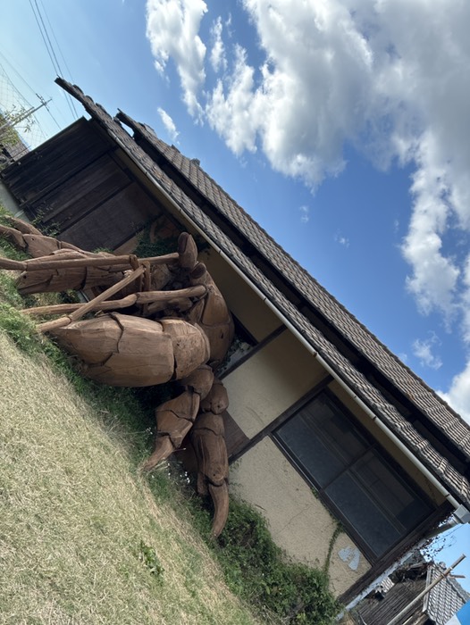 ヒトクサヤドカリ