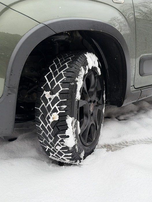 バイキングコンタクト7