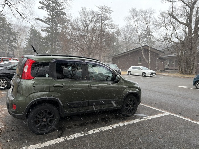 たくさん雪写った