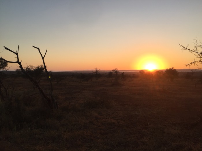 Sunrise on Gomondwane Road