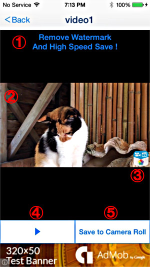 Play・Save to Camera Roll Screen